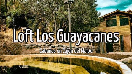 Loft Los Guayacanes